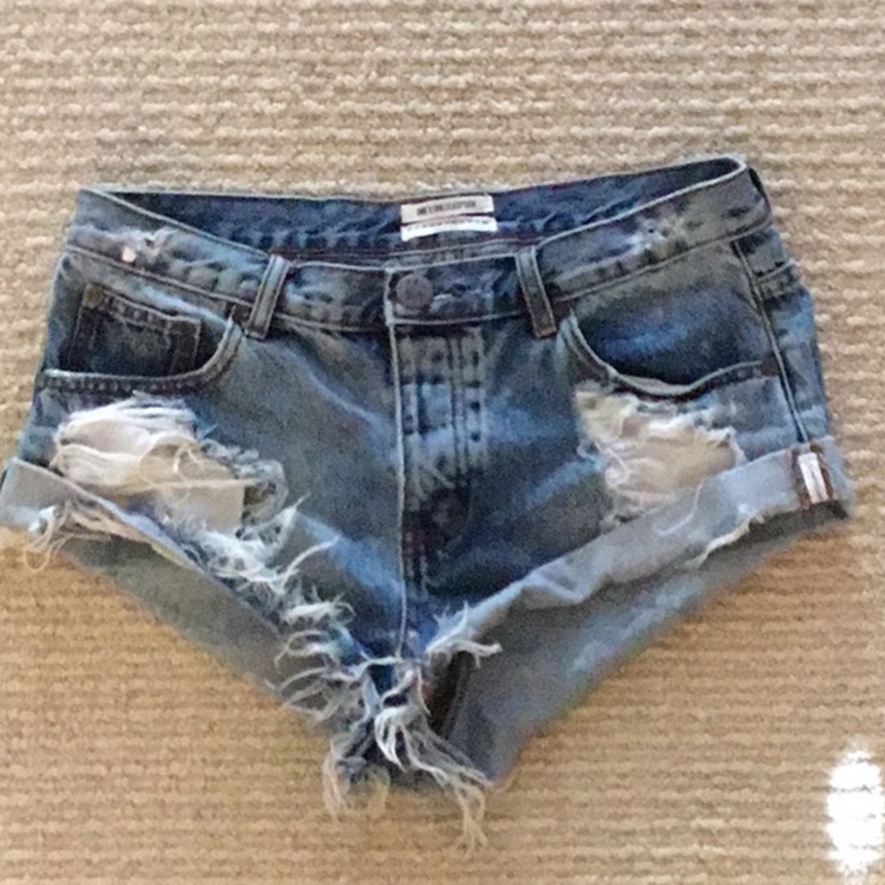 Authentic One x One teaspoon shorts 28